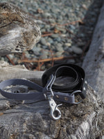 Leash - Two-Tone With O-Ring BioThane